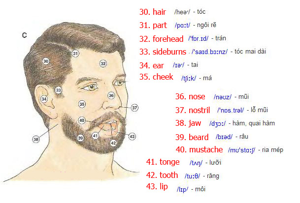 Các hình ảnh loại bệnh
