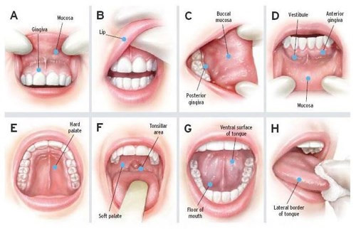 Các hình ảnh loại bệnh